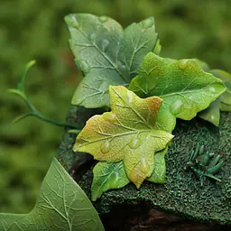 Shen Yin - Arrietty 10