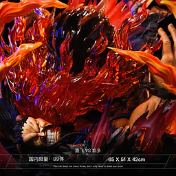Wink - Luffy vs Kaido 6
