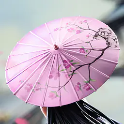 Wan Jie - Boa Hancock 6