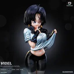 Deyin - Videl 4