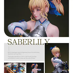 AP - Saber Lily 5