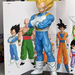 Star Track - Vegeta 3