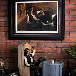 Sideshow Collectibles - Han Solo 13