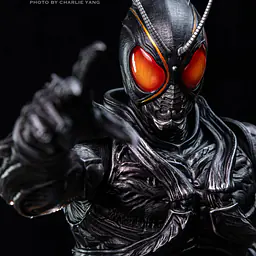 Z - Kamen Rider Black Sun 8