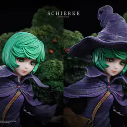 SFH - Schierke 9