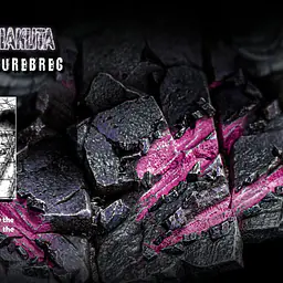 Niren - Rudo Surebrec 8