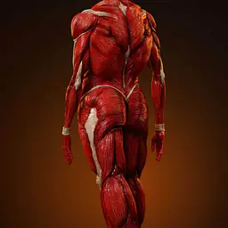 Wu Shi Mo Wan - Colossal Titan 5