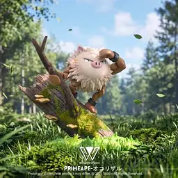 Wonder - Primeape 4