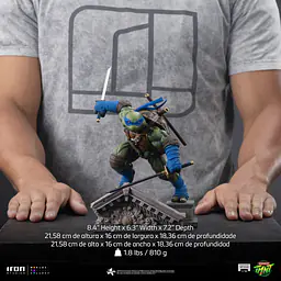 Iron - Leonardo 11