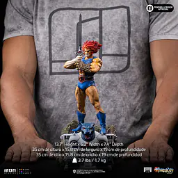 Iron - Lion-O 11