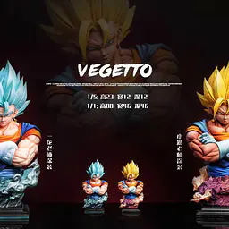 FER - Vegito 1