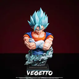 FER - Vegito 4