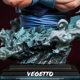 FER - Vegito 9