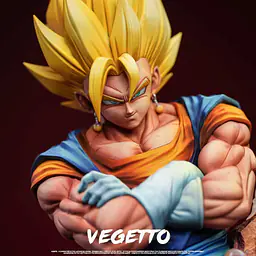 FER - Vegito 5