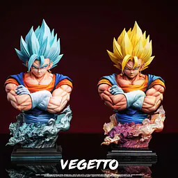 FER - Vegito 6