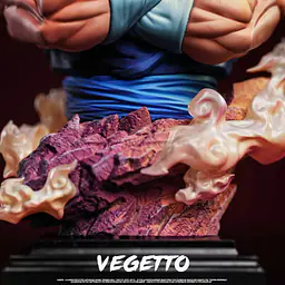 FER - Vegito 7