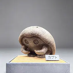 Miumiu - Kabutops and Kabuto Fossils 11