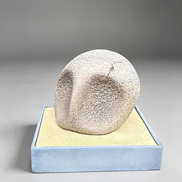 Miumiu - Kabutops and Kabuto Fossils 9