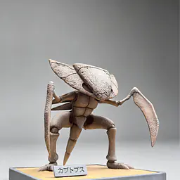 Miumiu - Kabutops and Kabuto Fossils 4