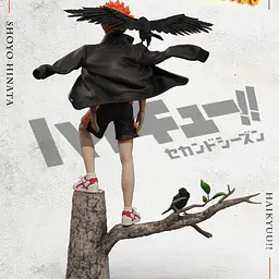 Sky Top - Shōyō Hinata 5