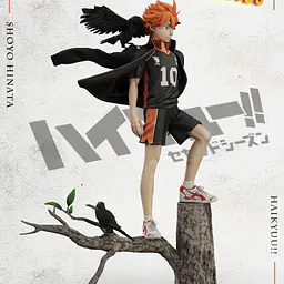 Sky Top - Shōyō Hinata 3