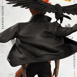 Sky Top - Shōyō Hinata 4