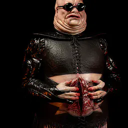 Premium Collectibles - Butterball 3