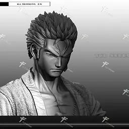 FIT - Zoro 4