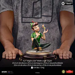 Iron - Peter Pan and Tinker Bell 14