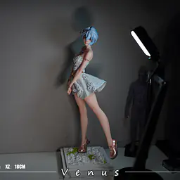 Venus - Rei 8