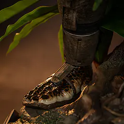 Premium Collectibles - Predator 25