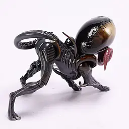 Toothfairy - Parasite King 5