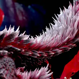 Roaring Wild - Zinogre 25