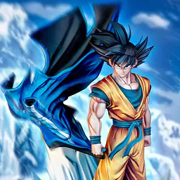 WDF - Goku 2