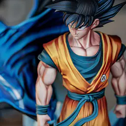 WDF - Goku 6