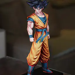 WDF - Goku 8
