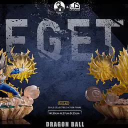Inspiration House x LP - Vegeta 9