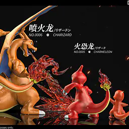 Wang Wang - Charizard 6