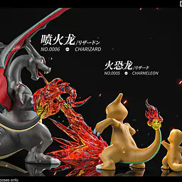 Wang Wang - Charizard 8
