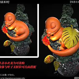 Wang Wang - Charizard 9