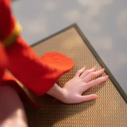 ZN - Mai Shiranui 7
