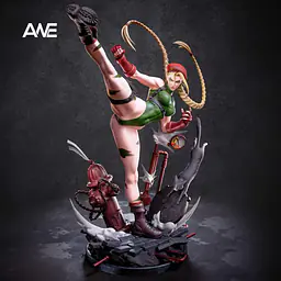 ANE - Cammy 1