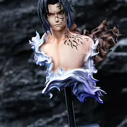 Zi Yang Hua - Sasuke 1