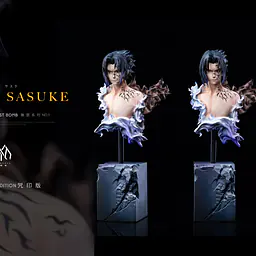 Zi Yang Hua - Sasuke 15