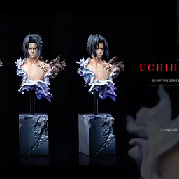 Zi Yang Hua - Sasuke 13