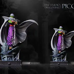 HW - Piccolo 6
