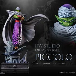 HW - Piccolo 1