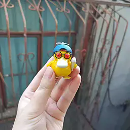 Meng Long - Psyduck 1