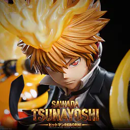 Game Over - Tsunayoshi Sawada 6