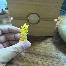 Miao Maio - Raichu 5